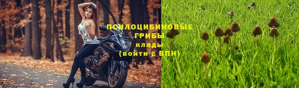 каннабис Аркадак
