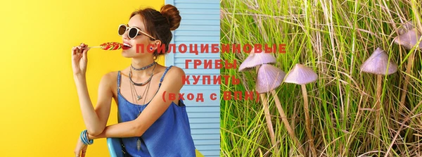 PSILOCYBIN Армянск