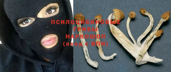 каннабис Аркадак